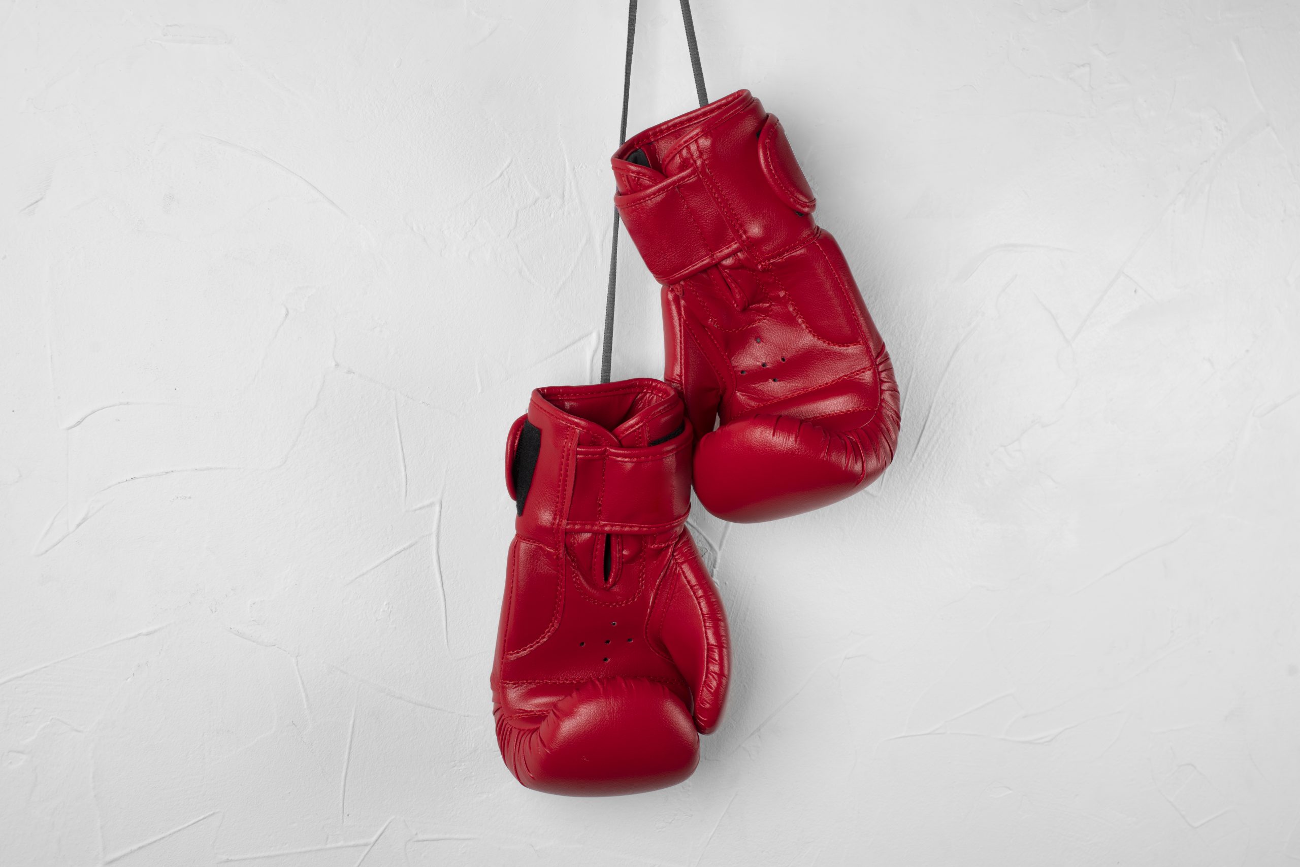 view-pair-boxing-gloves